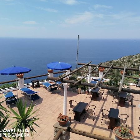 Hotel Punto Azzurro Forio di Ischia المظهر الخارجي الصورة