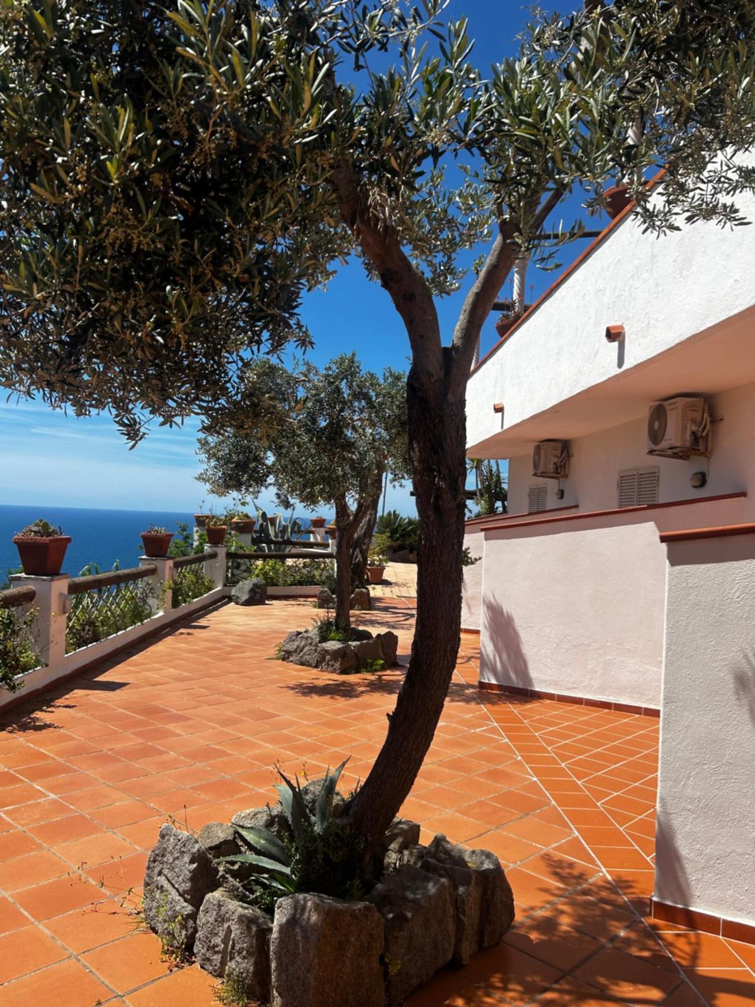 Hotel Punto Azzurro Forio di Ischia المظهر الخارجي الصورة
