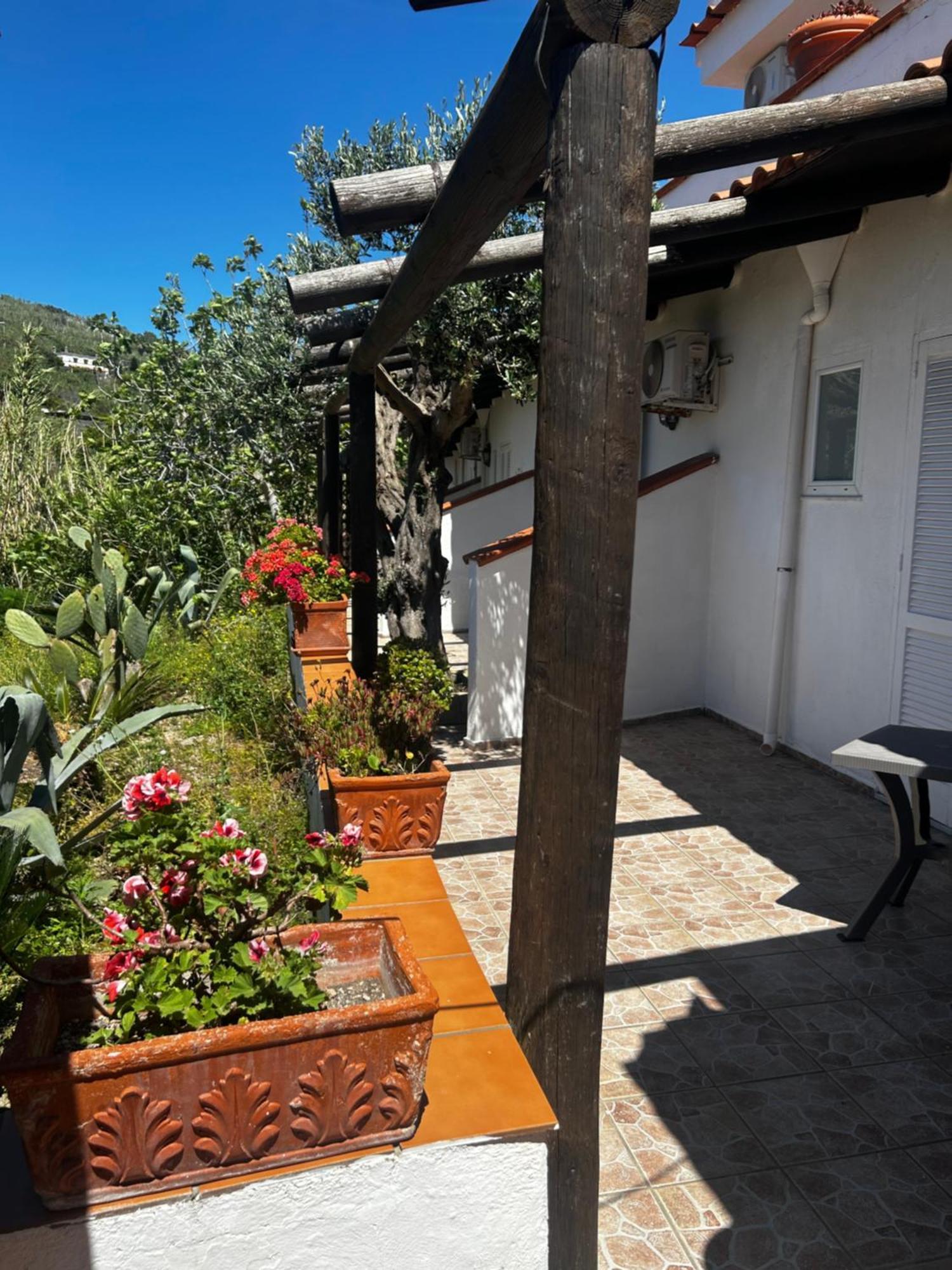 Hotel Punto Azzurro Forio di Ischia المظهر الخارجي الصورة