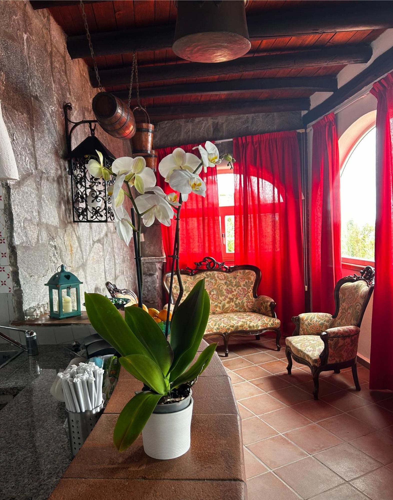 Hotel Punto Azzurro Forio di Ischia المظهر الخارجي الصورة