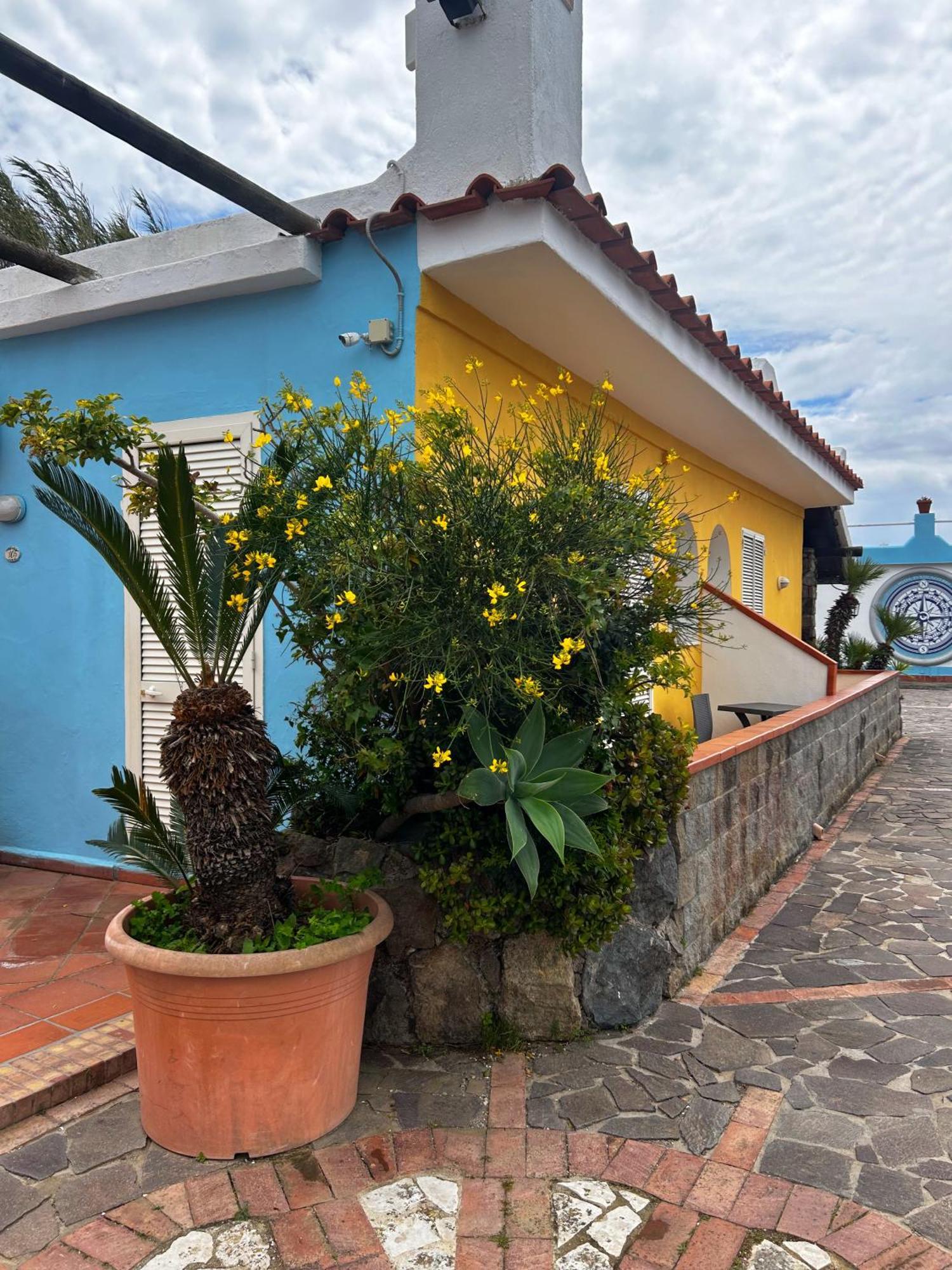 Hotel Punto Azzurro Forio di Ischia المظهر الخارجي الصورة