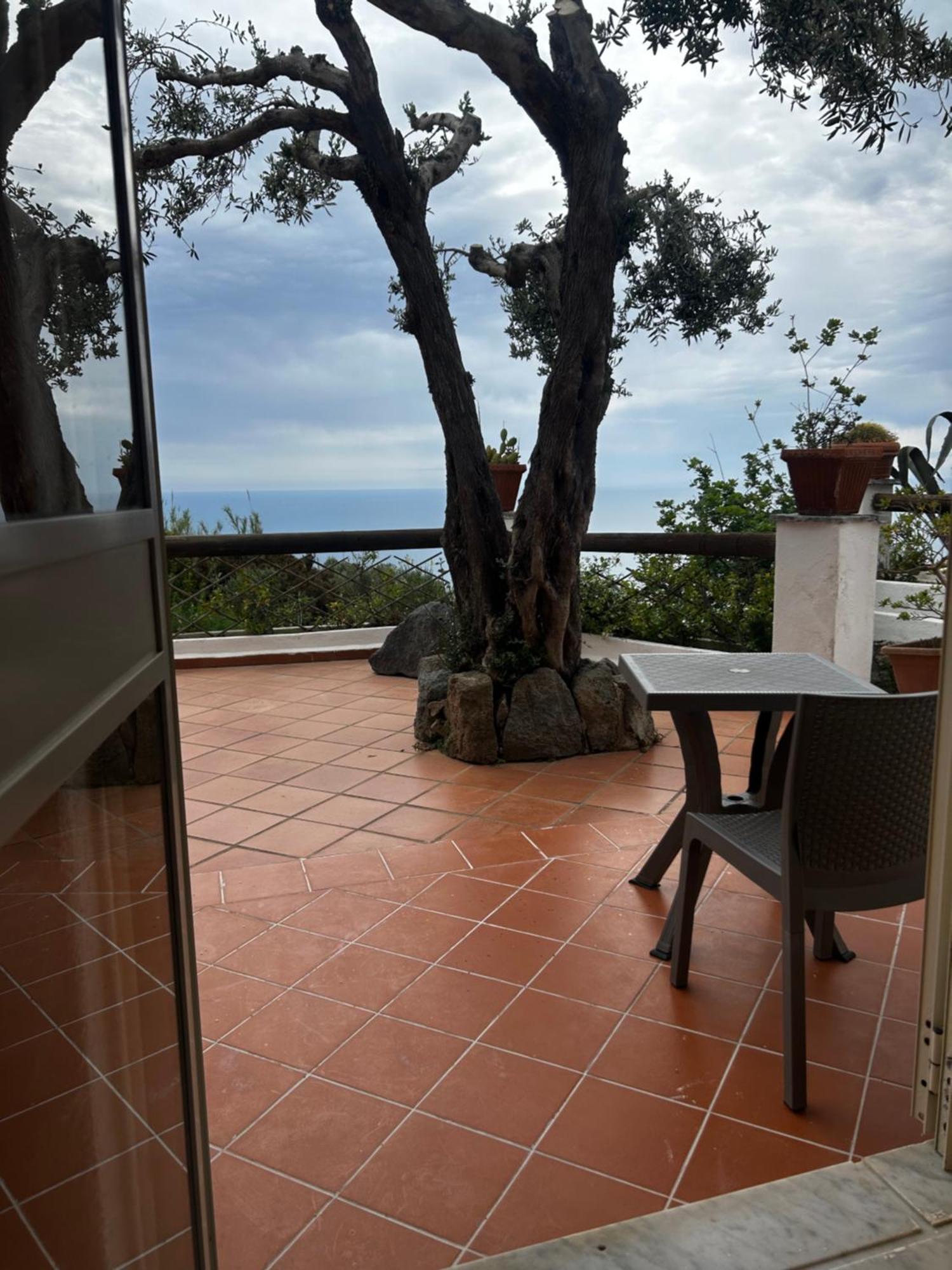 Hotel Punto Azzurro Forio di Ischia المظهر الخارجي الصورة